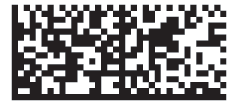 Rectangular Data Matrix Code